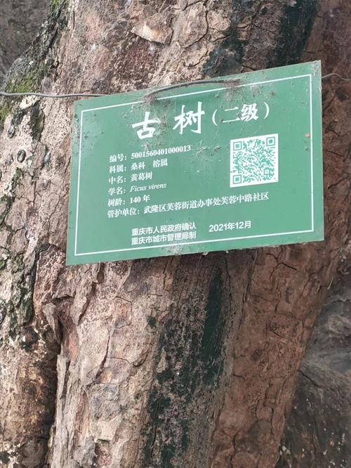 微信图片_20240106110327.jpg