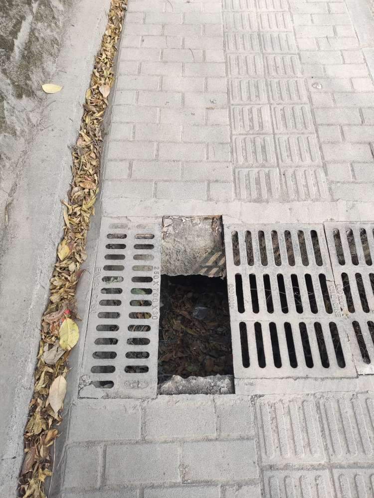 145109j3vw2z92rdw35e5m.jpeg