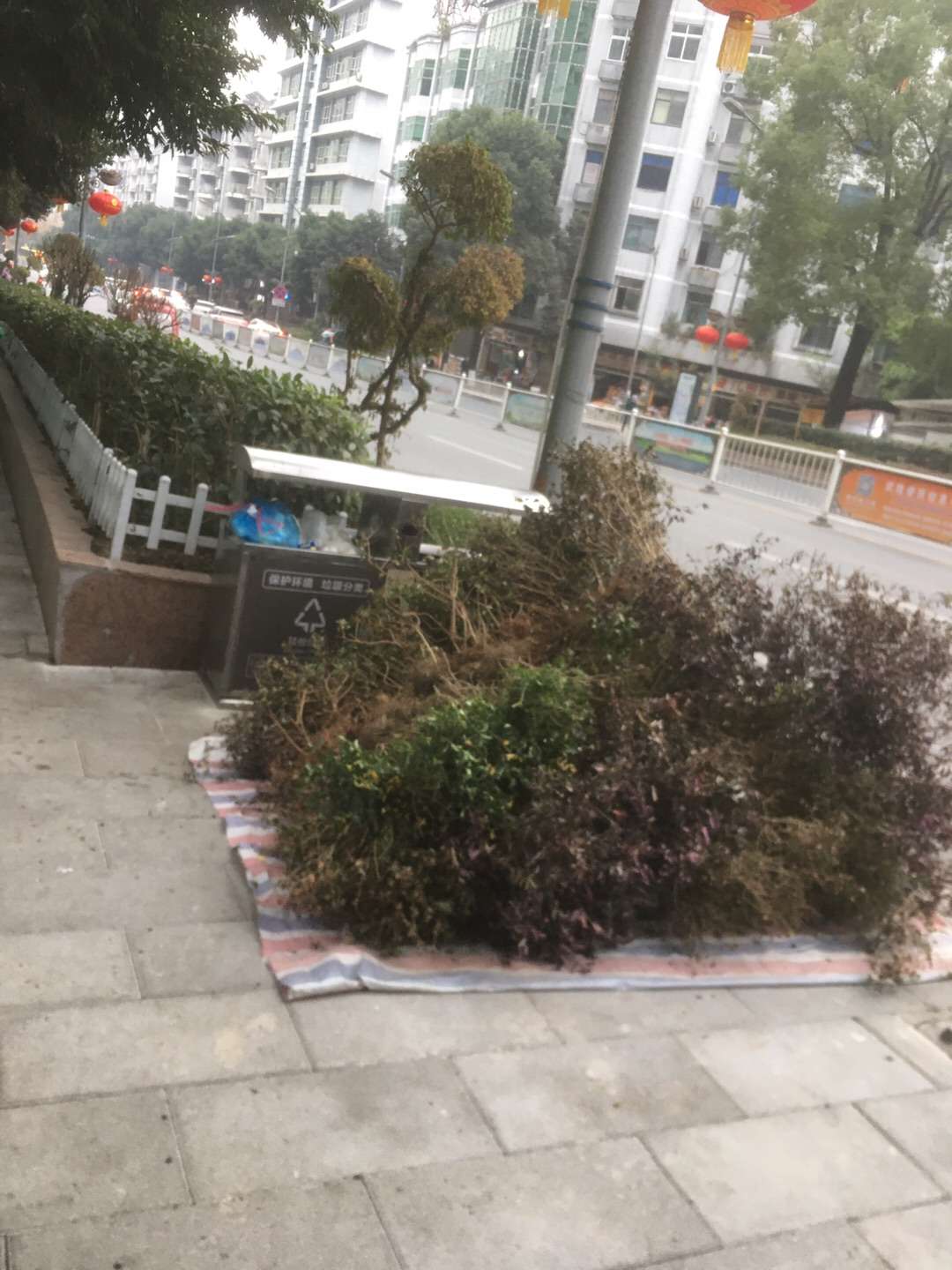 092020b5g015qyiyp55903.jpeg
