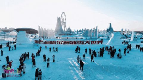 112840d121cs9i2s2dcqx9.gif