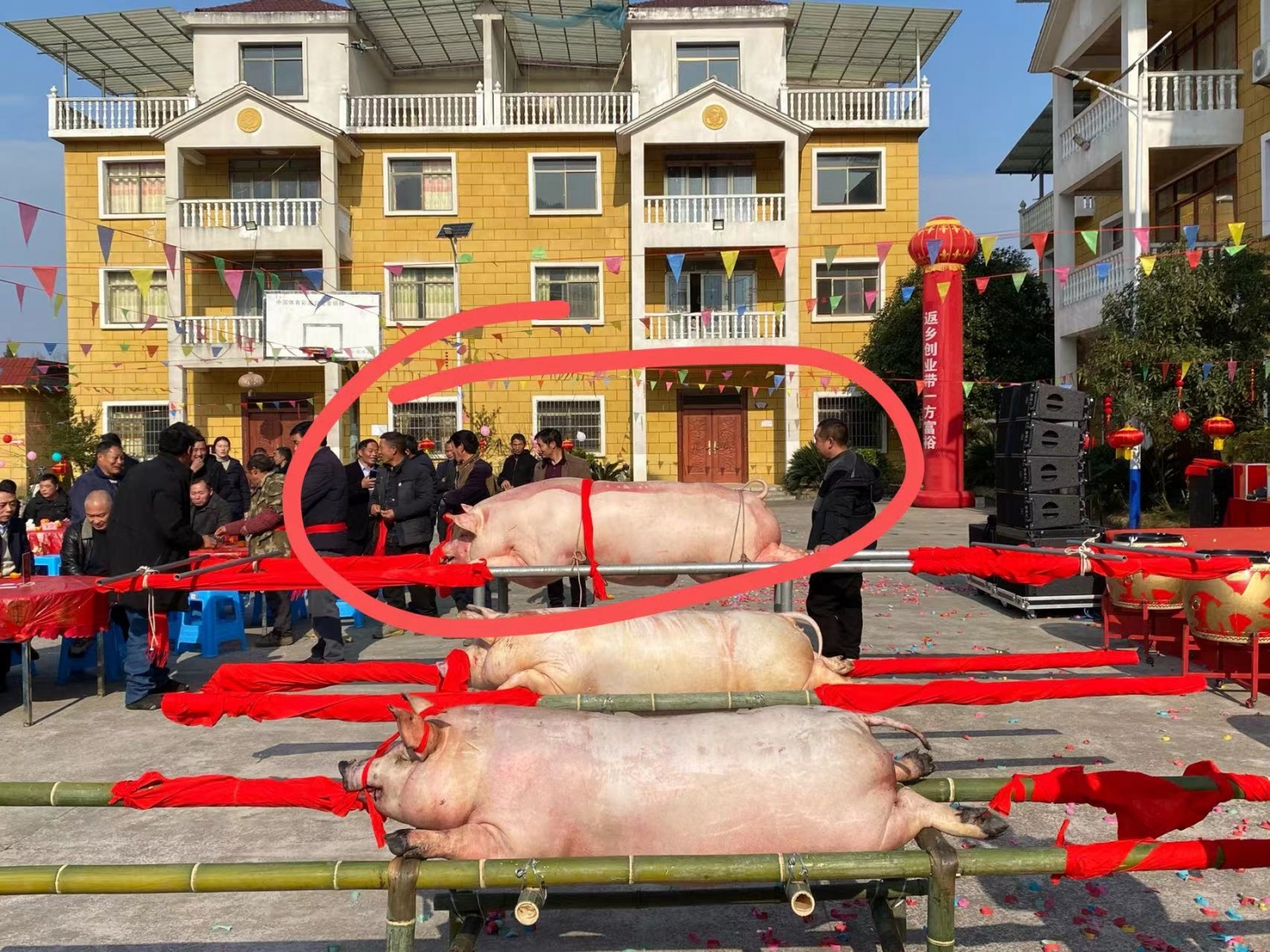 微信图片_20240113173945.jpg