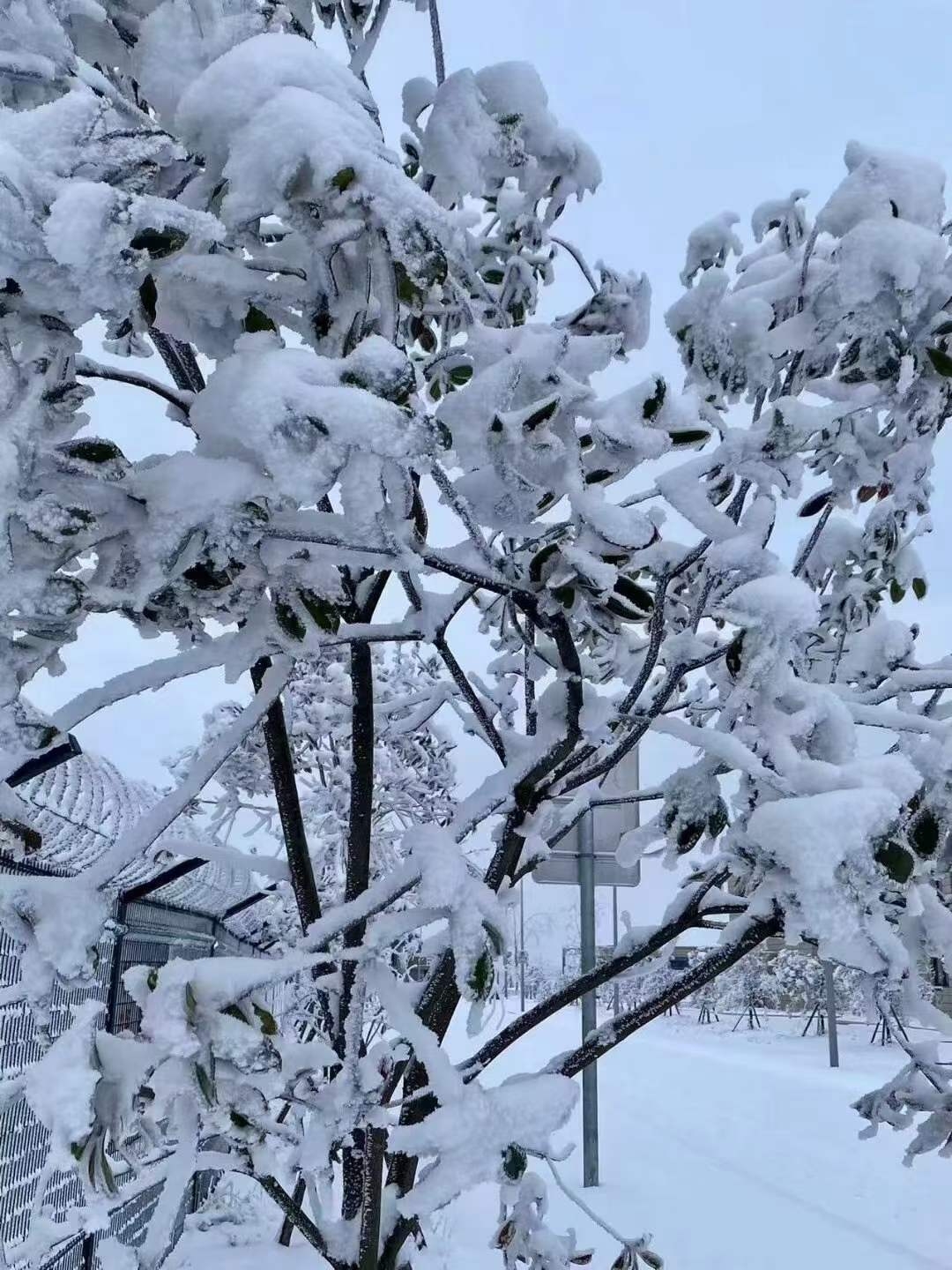 微信图片_20240122113543.jpg