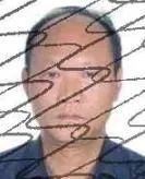 174450ew7c38p0pdis0azd.jpeg