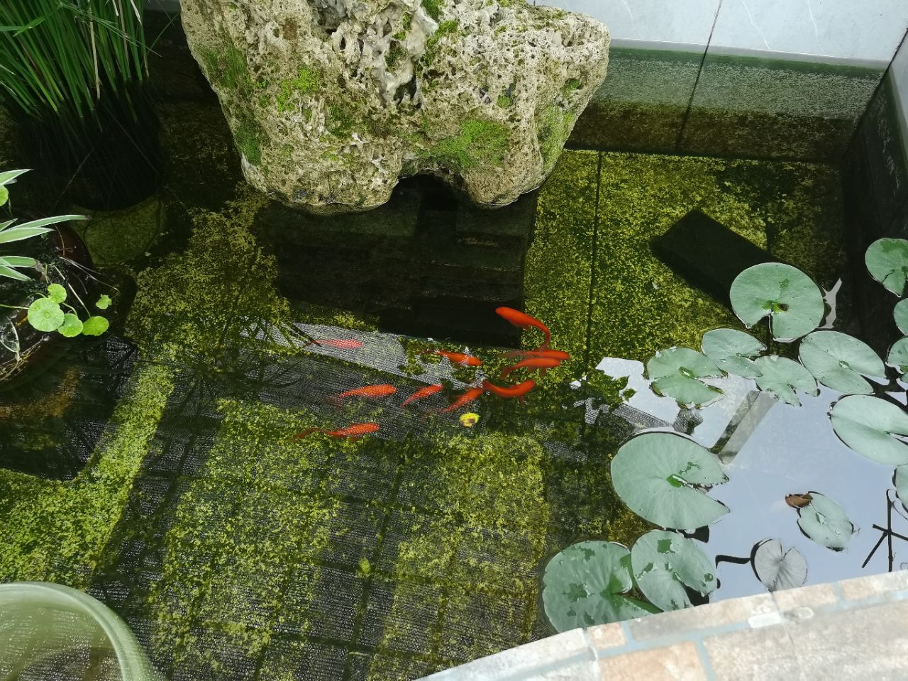 20250528125551front2_0_234951_FpBirZ5Fj9YZ4AHZ7aP1QWPoBQUr.jpg