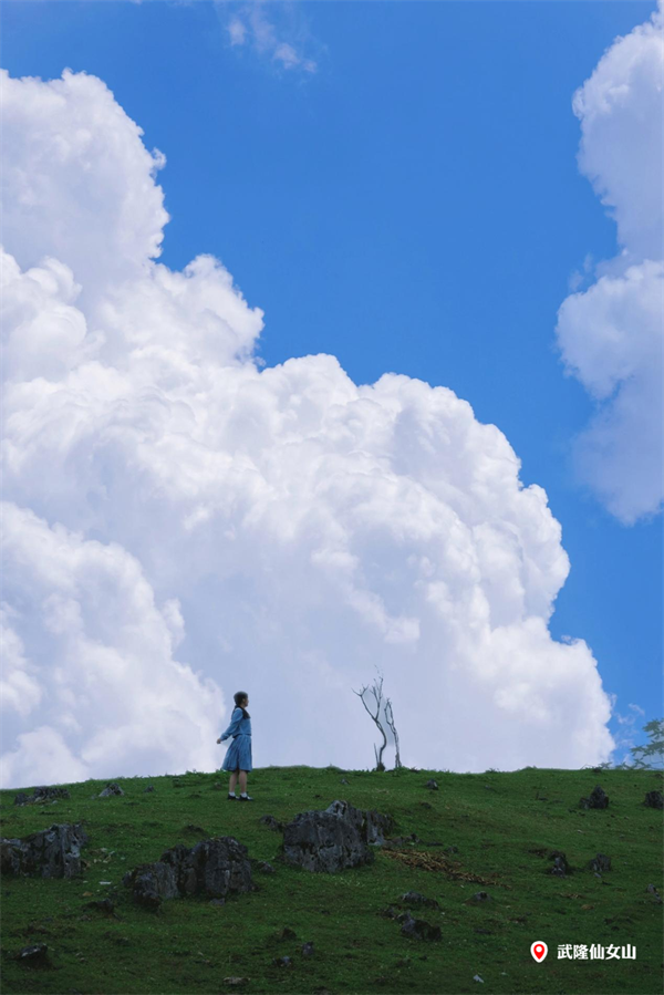164224ykbcbr66216dqew9.png