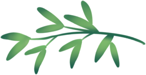 155240kihfo8h5fhhzh68v.png