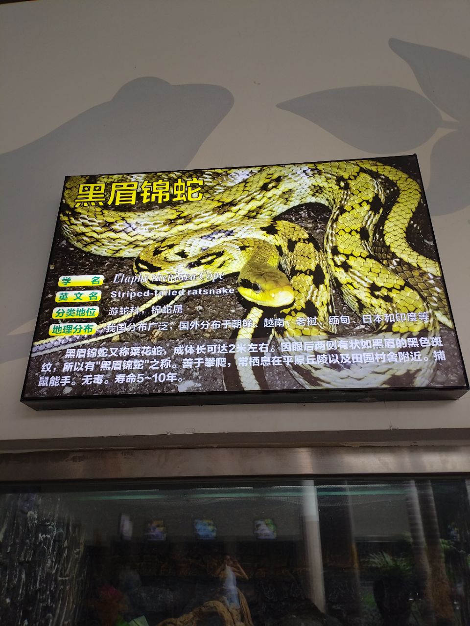 20250706133107front2_0_160365_FhxFqVMv-3NvCfcicNSeRzEhvnXu.jpg