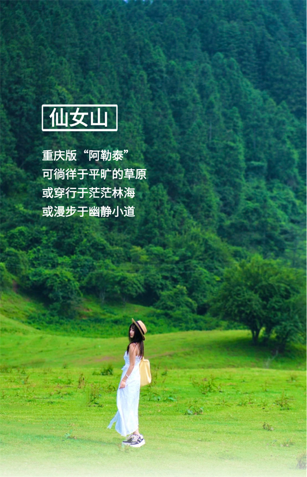 141834g1qmg8mlxvhmmh6m.png