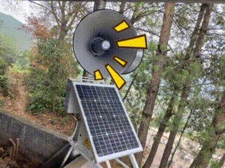 184406xiy7ixlbm0ih14z4.gif