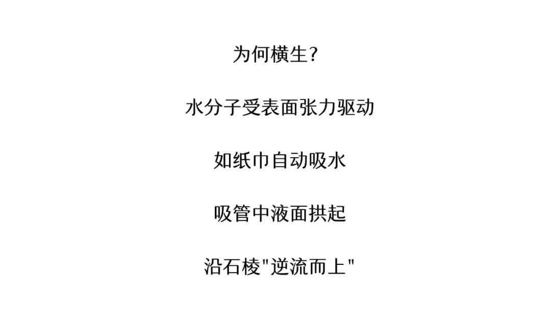 153643qe57bbep9b77i9a6.jpeg