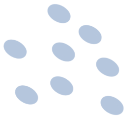 090031mhvffufkkcbcksvk.png