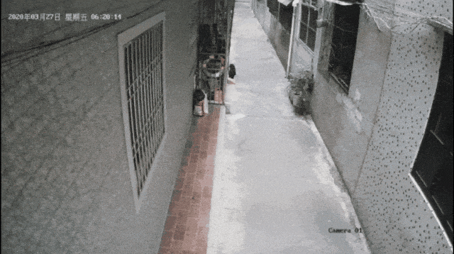 101359dqsxa835zrb6az96.gif