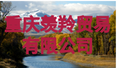 172449t1l72317l333jam7.png